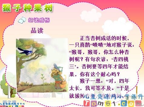 猴子种果树课件2