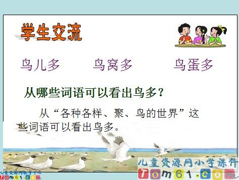鸟岛课件2