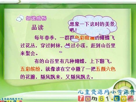 台湾的蝴蝶谷课件3