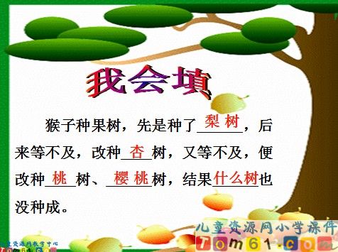 猴子种果树课件12