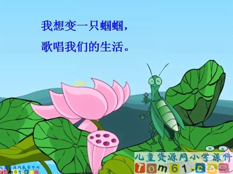 真想变成大大的荷叶课件20