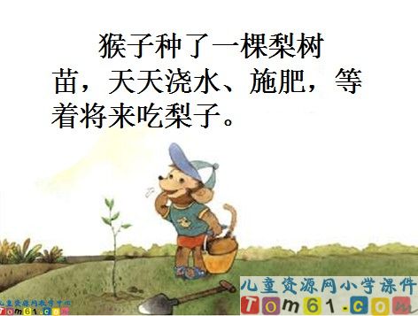 猴子种果树课件10