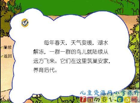 鸟岛课件8