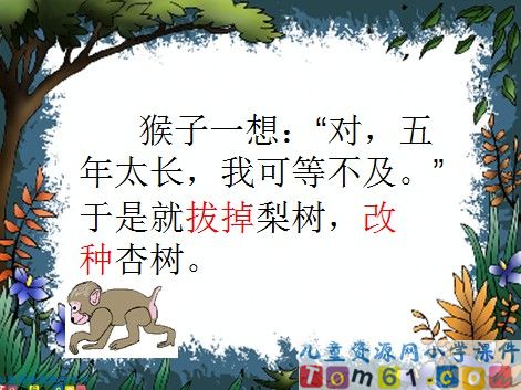 猴子种果树课件9