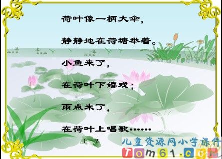 真想变成大大的荷叶课件17