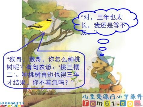 猴子种果树课件8