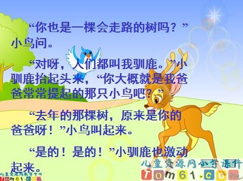 会走路的树课件9