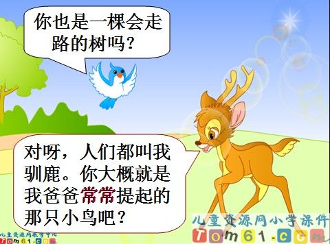会走路的树课件20