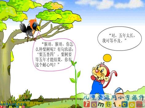 猴子种果树课件14