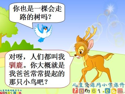 会走路的树课件3