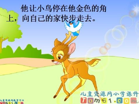 会走路的树课件6
