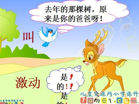 会走路的树课件13