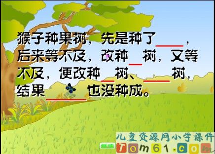 猴子种果树课件15