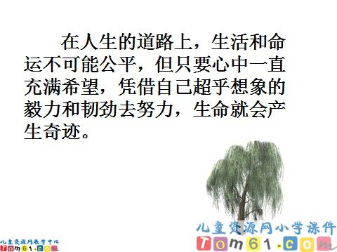 青海高原一株柳课件4
