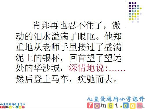 把我的心脏带回祖国课件5