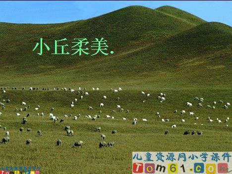 草原课件6