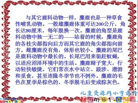 麋鹿课件3