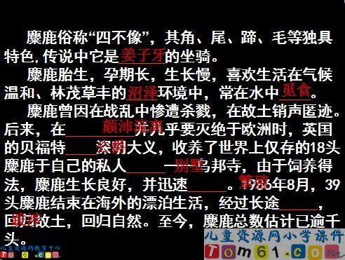 麋鹿课件5