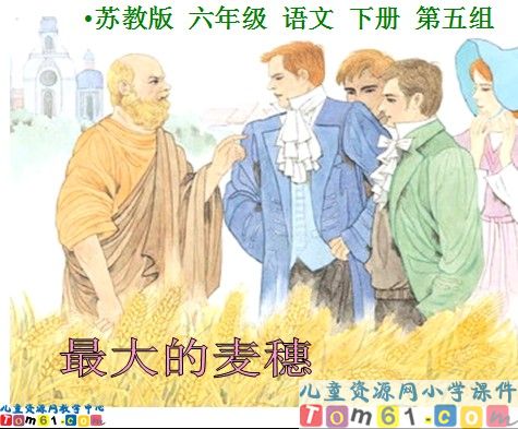 最大的麦穗