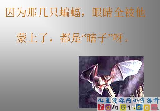 《夜晚的实验》