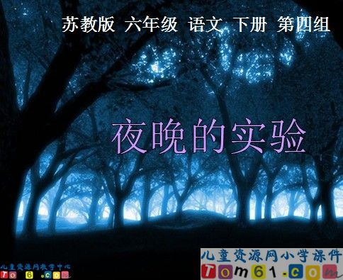 《夜晚的实验》