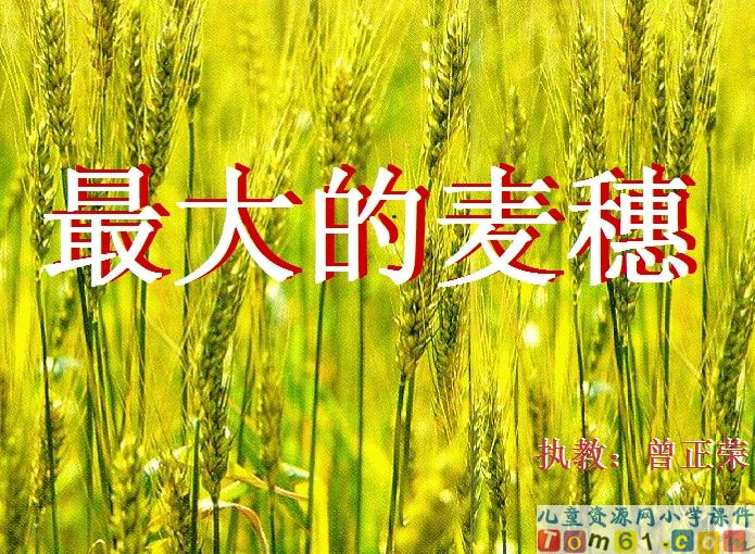 最大的麦穗