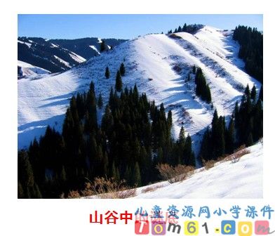 《山谷中的谜底》