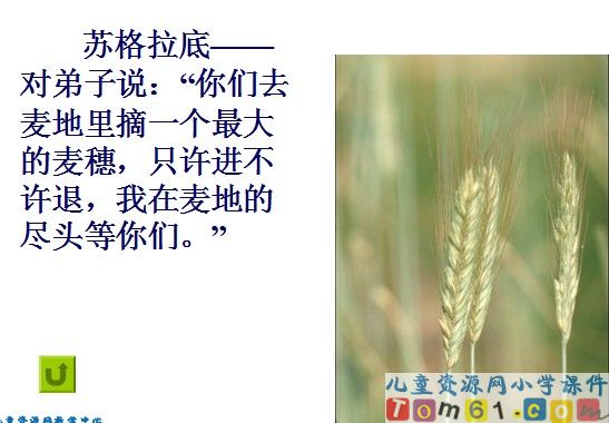 最大的麦穗
