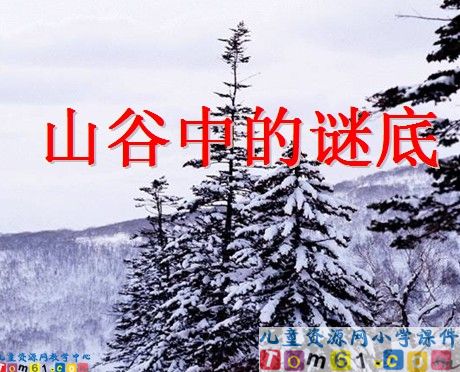 《山谷中的谜底》
