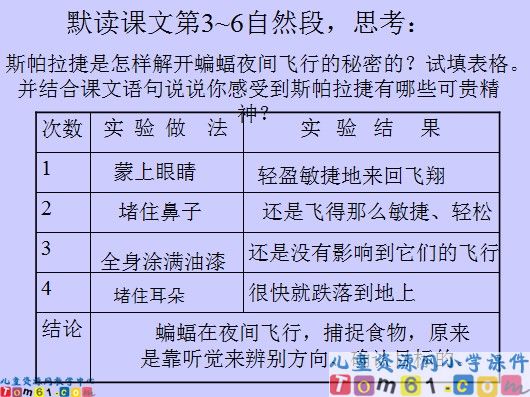 《夜晚的实验》