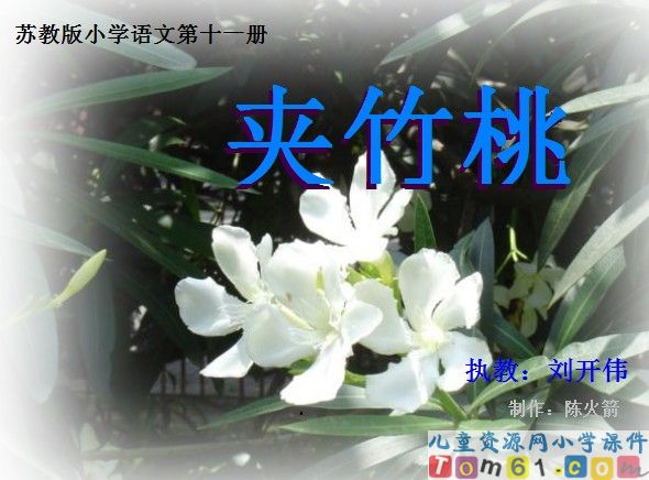 夹竹桃