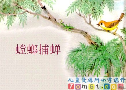 《螳螂捕蝉》