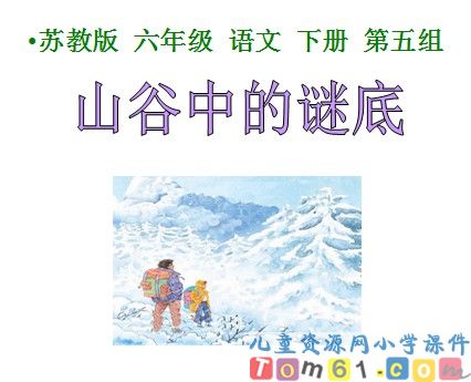 《山谷中的谜底》