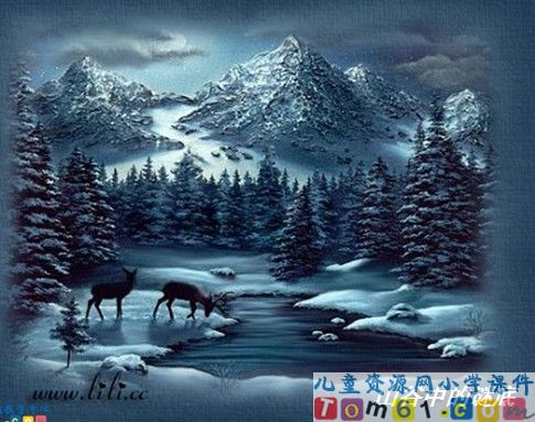 《山谷中的谜底》