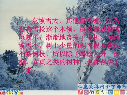 《山谷中的谜底》