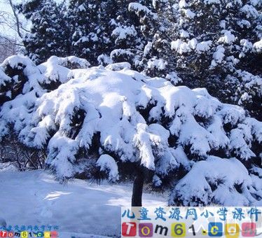 《山谷中的谜底》