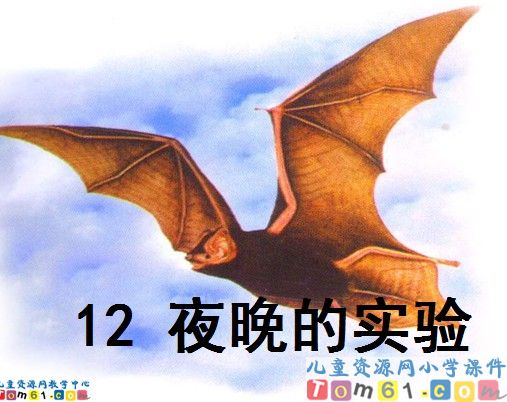 《夜晚的实验》