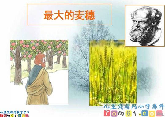 最大的麦穗