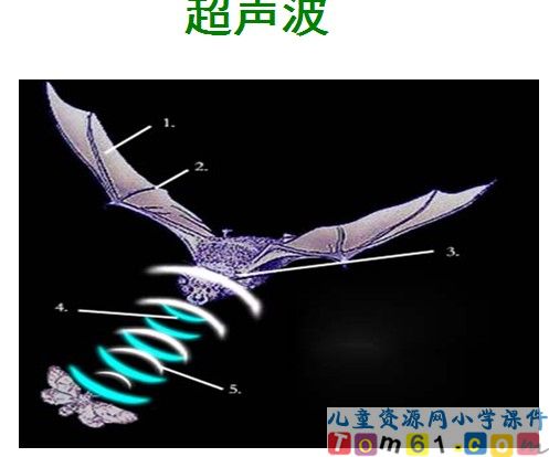 《夜晚的实验》