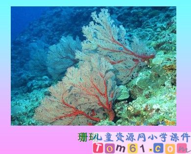 《海洋&mdash;21世纪的希望》