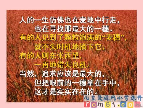 最大的麦穗