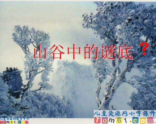 《山谷中的谜底》
