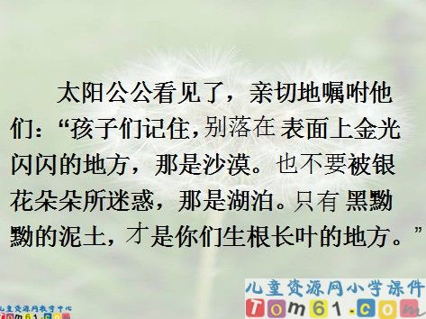 蒲公英课件12