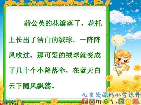 蒲公英课件9