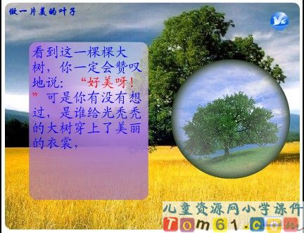 做一片美的叶子课件1