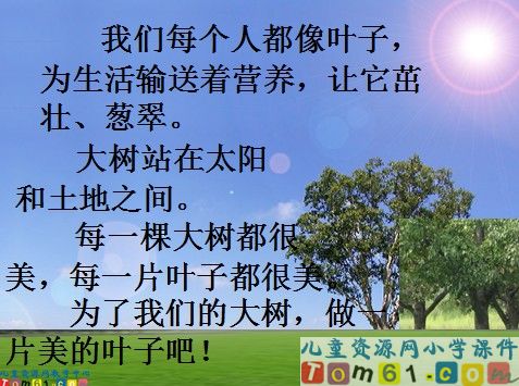 做一片美的叶子课件7