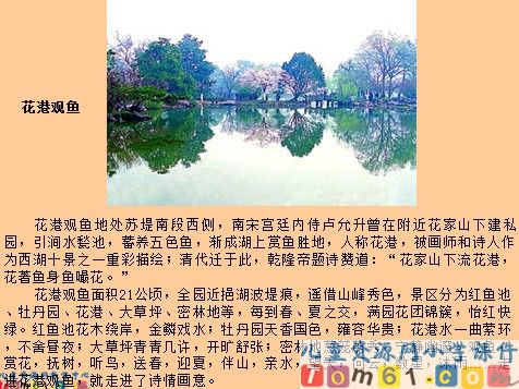 西湖的绿课件7