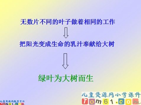 做一片美的叶子课件3