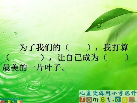 做一片美的叶子课件6