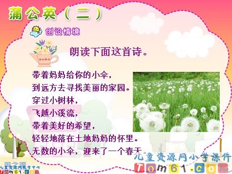 蒲公英课件2